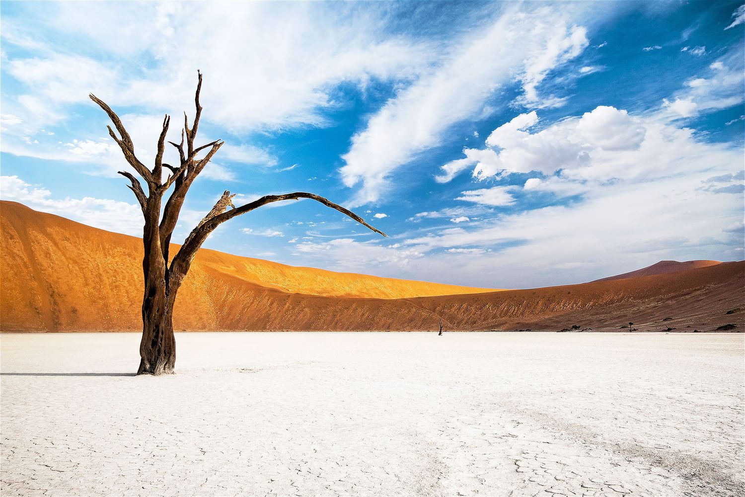 Dead tree stands on cracked white salt pan with red sand dunes and blue sky at Deadvlei, Namibia.