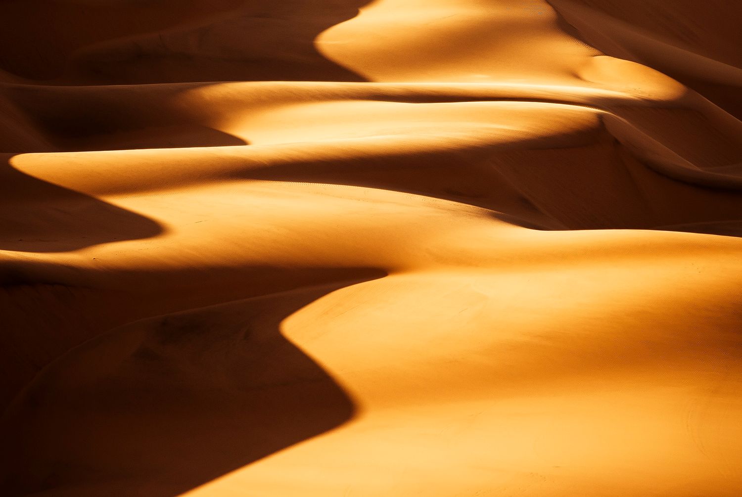 Golden sand dunes with dramatic shadows and curves in a vast desert landscape during golden hour light.