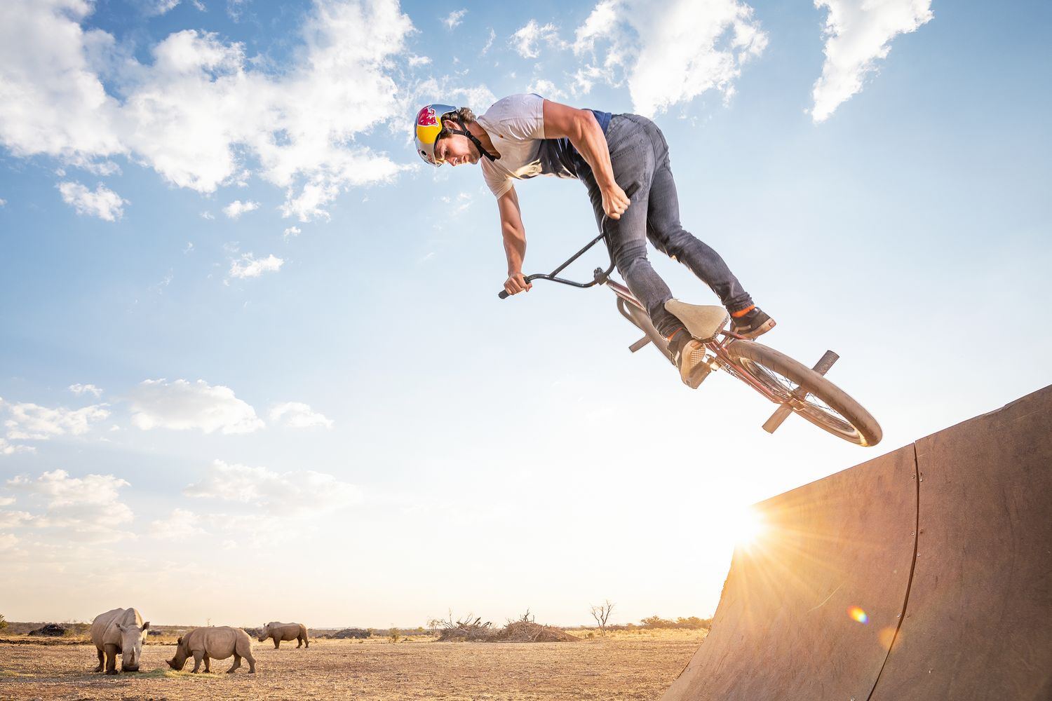 BMX rider performs aerial trick off ramp at skate park with rhinos grazing in background under sunny sky.