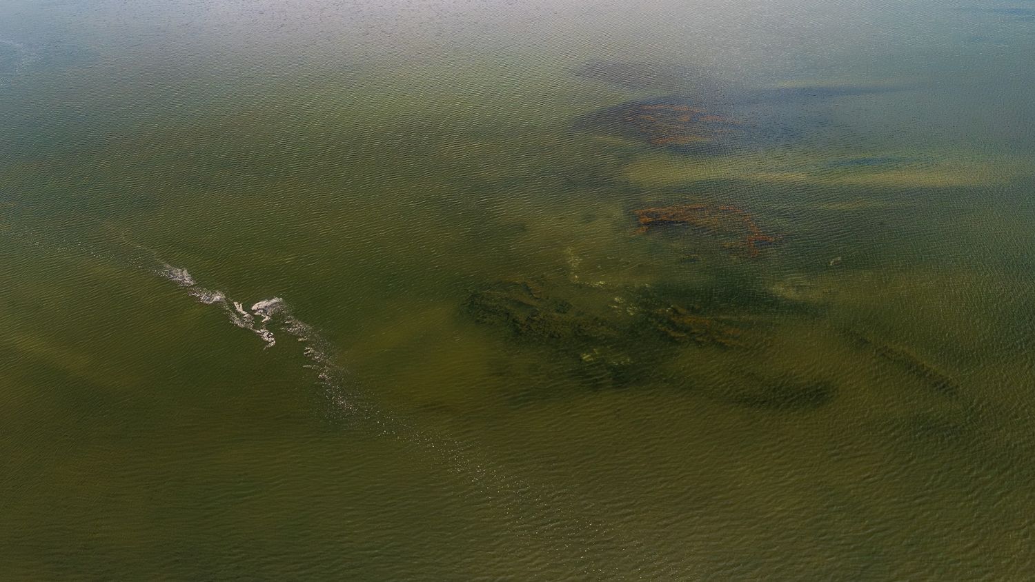 Aerial view of a vast green wetland with dark patches and rippling water surface under a hazy sky.