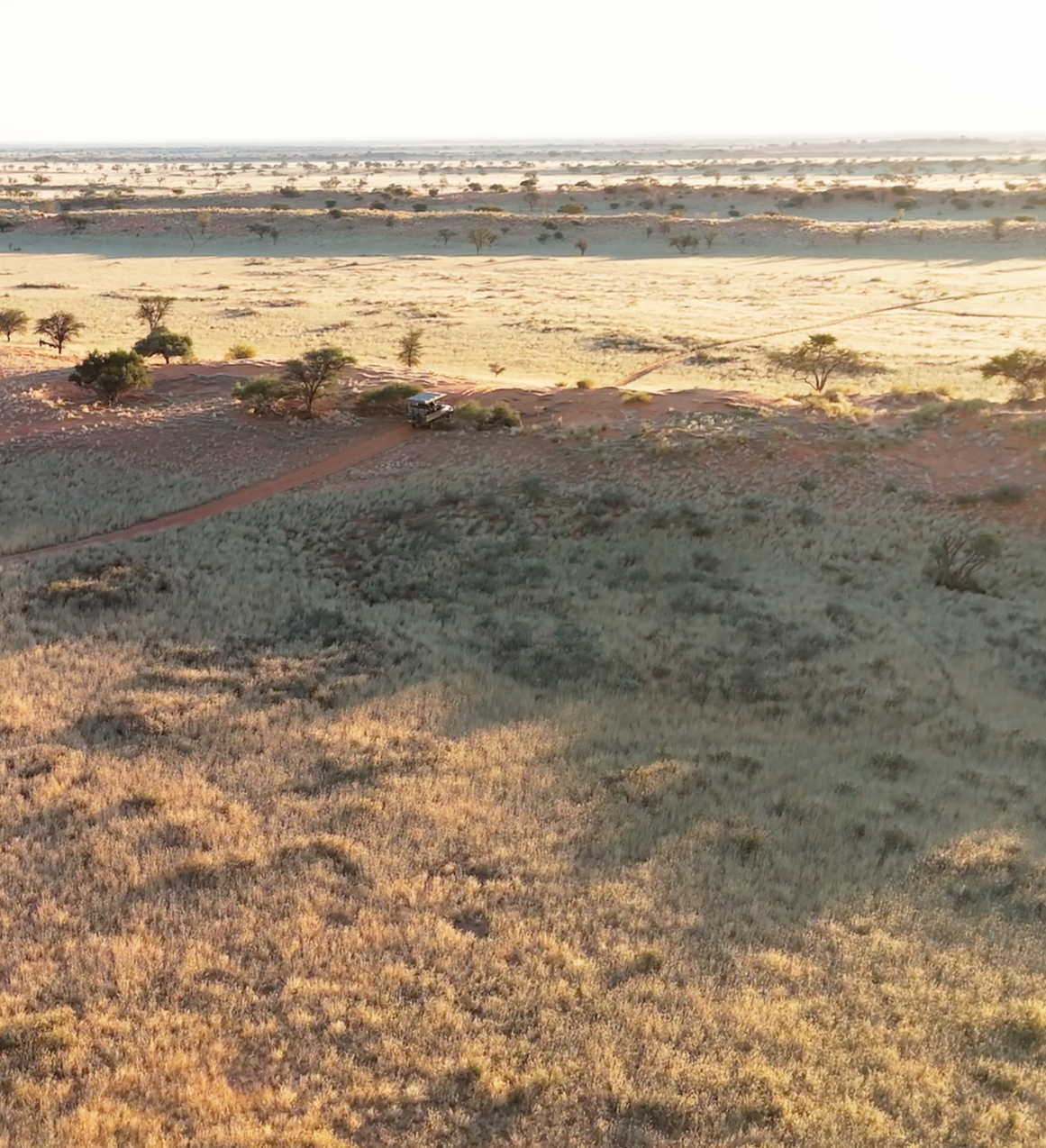 Aerial view of vast African savanna landscape with sparse acacia trees, red soil, and golden grasslands stretching to the horizon.