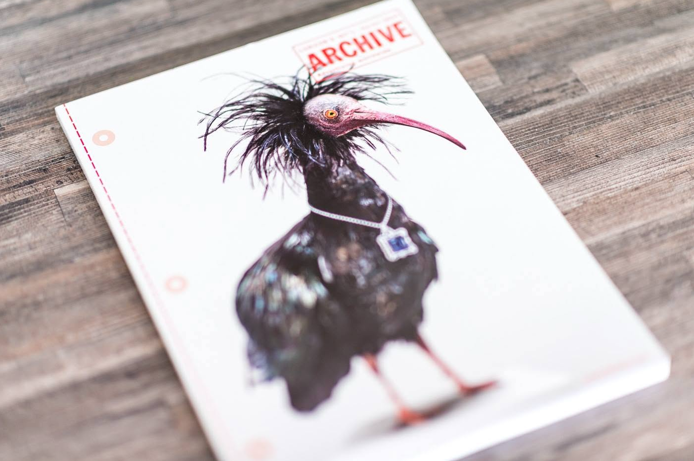 Close-up of Archive magazine cover featuring a dark exotic bird with red feathers on a wooden surface.