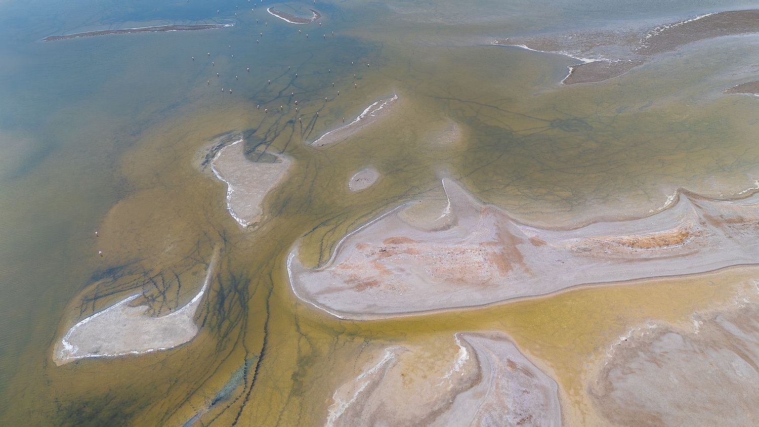 Aerial view of shallow tidal flats with sandy channels and green algae patterns in calm coastal waters.