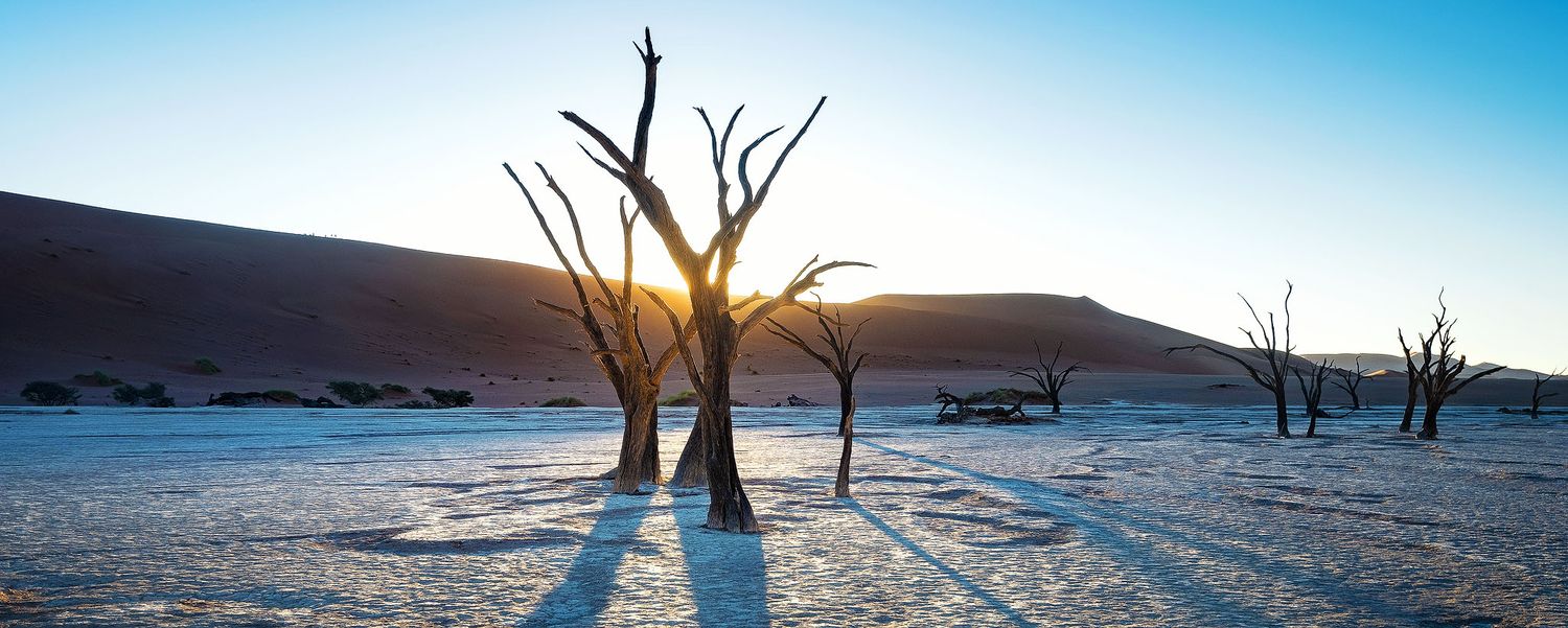 Dead camel thorn trees cast long shadows across the white clay pan of Deadvlei, Namibia, at sunrise.