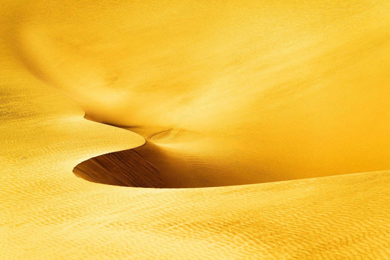 Golden sand dunes with smooth curves and deep shadows creating abstract patterns in a sunlit desert landscape.
