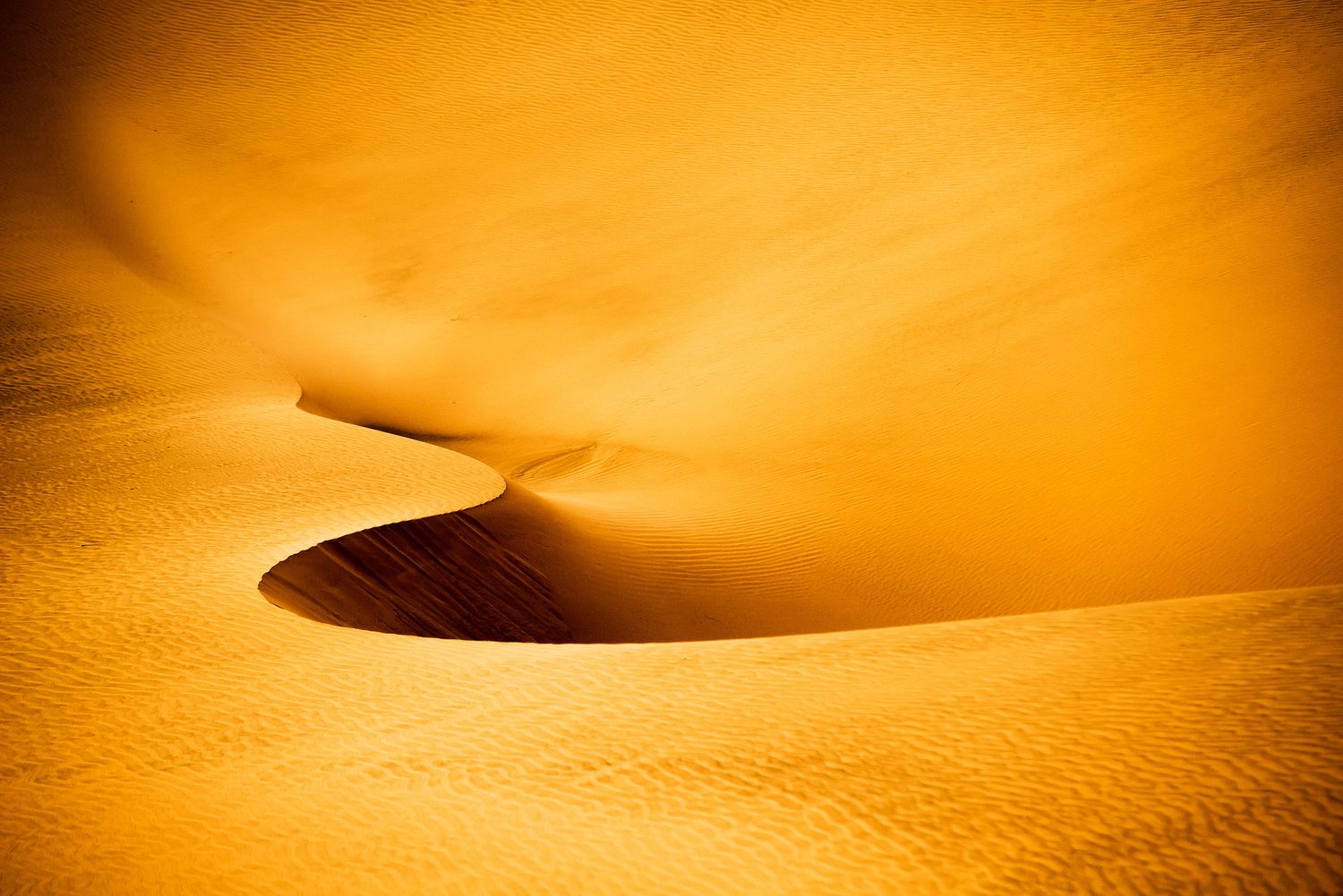 Golden sand dunes with sweeping curves and deep shadows create a stunning abstract desert landscape.
