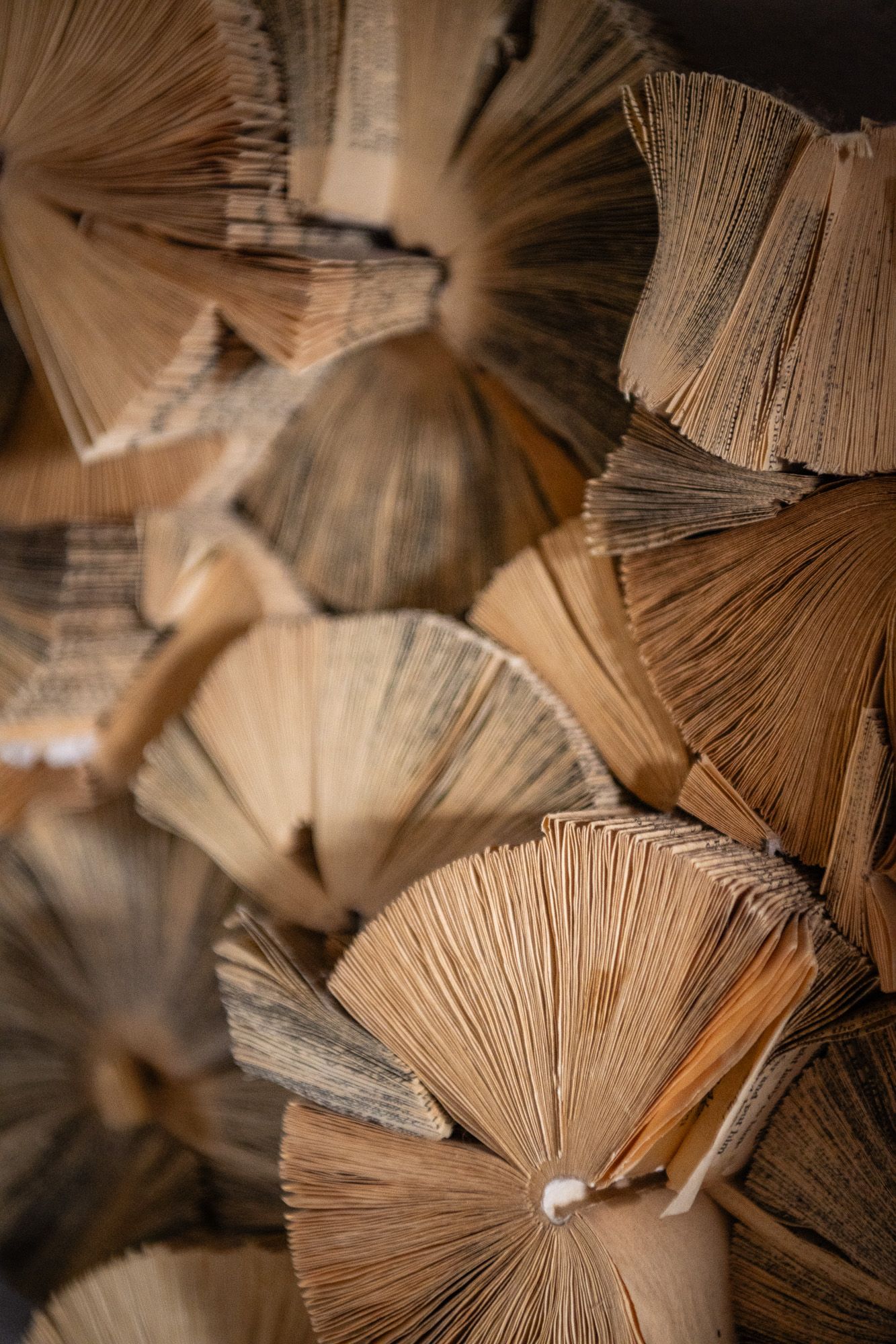 Close-up of multiple old books fanned open, displaying aged yellowed pages arranged in circular patterns.