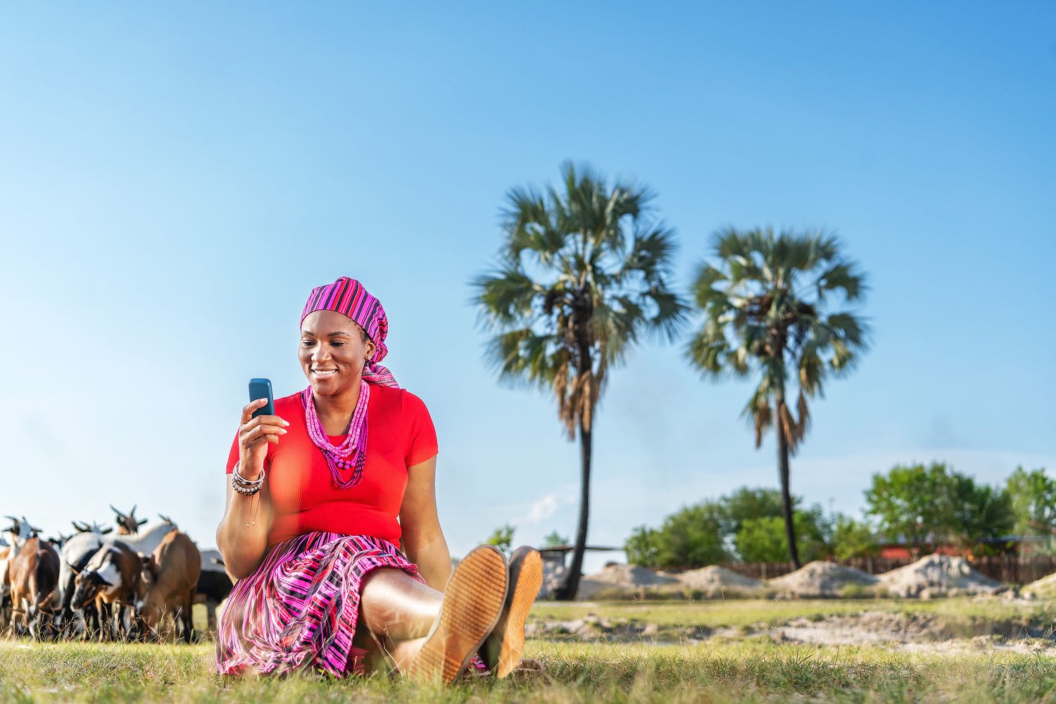 African woman in colorful traditional attire sits on grass using smartphone with palm trees and goats in background.
