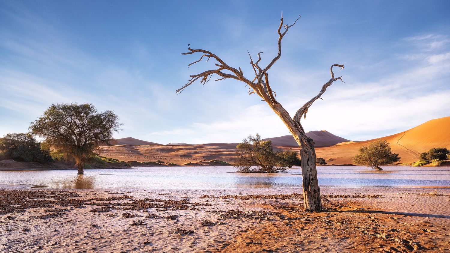 Dead tree silhouette at Sossusvlei, Namibia, with orange sand dunes and shallow water under blue sky.