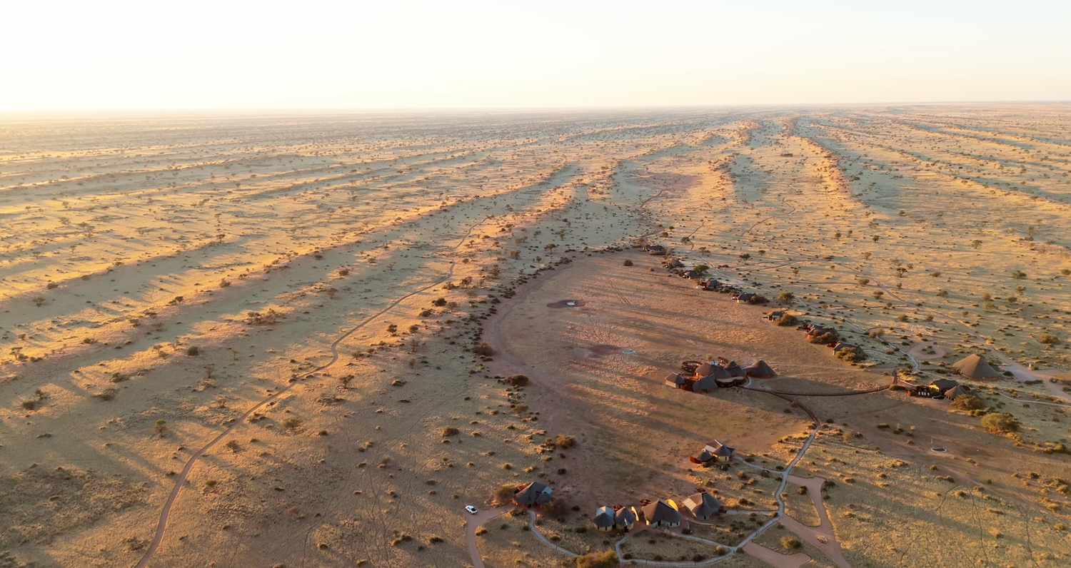 Aerial view of vast arid desert landscape with sparse vegetation and tire tracks stretching across sandy terrain at sunset.