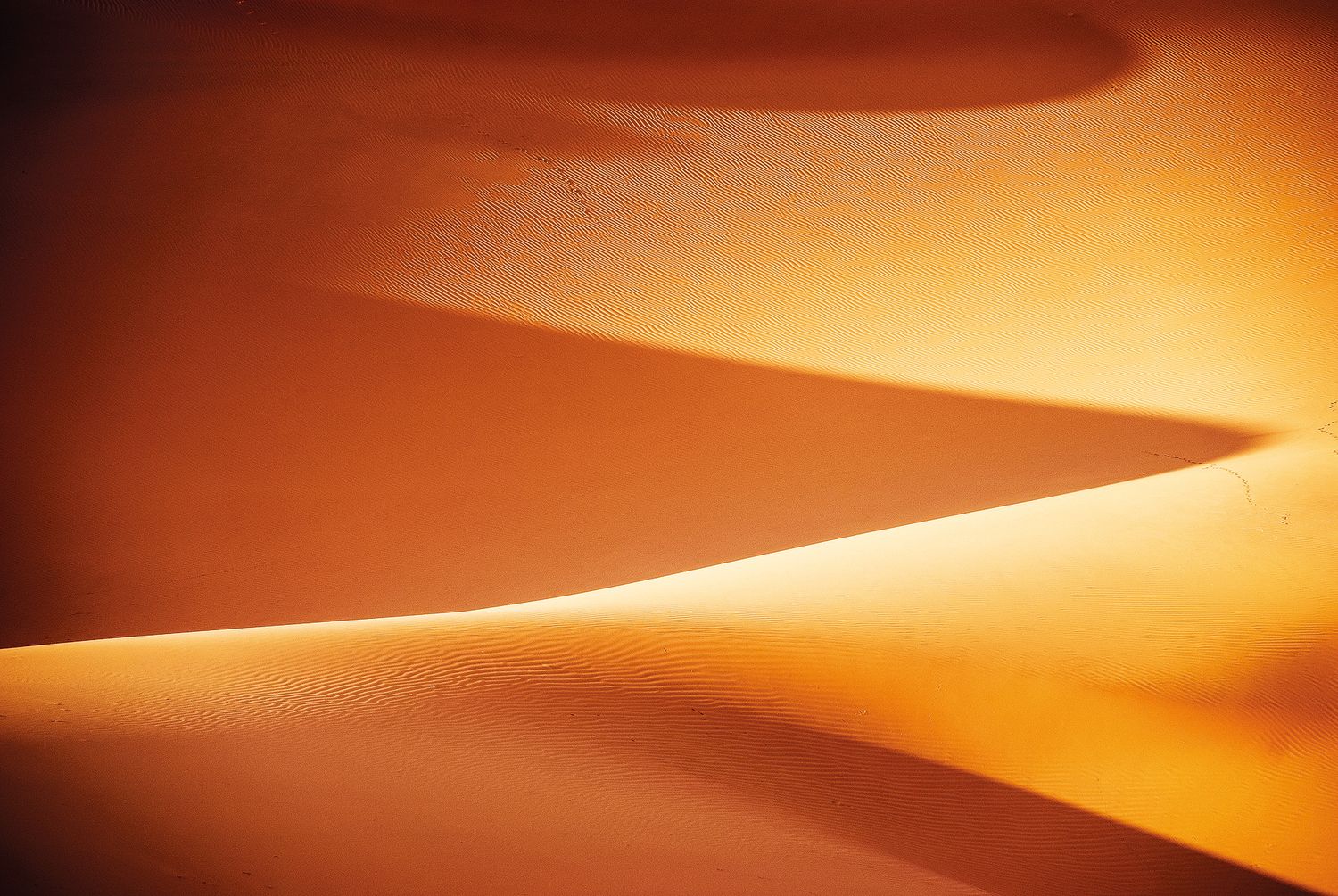 Golden sand dunes with dramatic shadows and curves in a sunlit desert landscape.