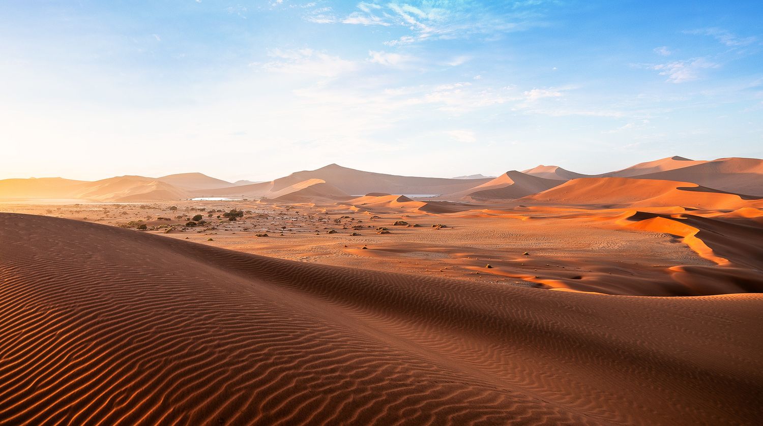 Golden sand dunes stretch across the Sahara Desert under a clear blue sky at sunset.