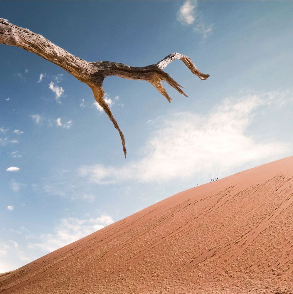 Dead tree branch extending over a vast red sand dune under a blue sky in a desert landscape.