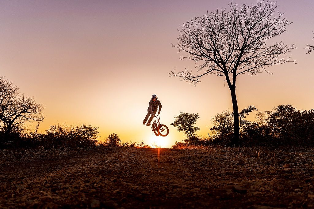 Silhouette of a BMX rider performing a jump trick at sunset with bare trees and golden sky in background.