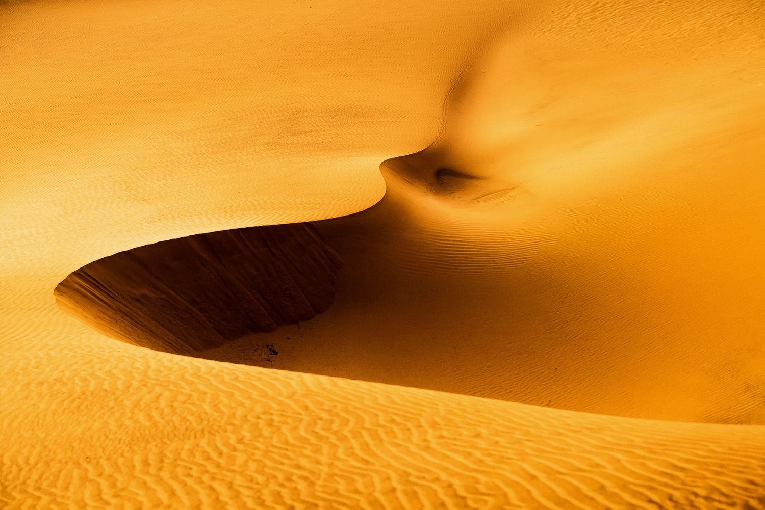 Golden sand dunes with dramatic shadows and rippled textures in a vast desert landscape.