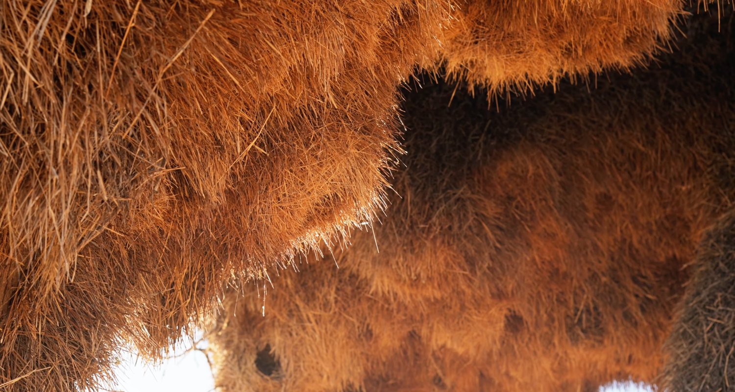 Close-up of dense, rust-colored dried grass or hay with a warm golden-brown texture.