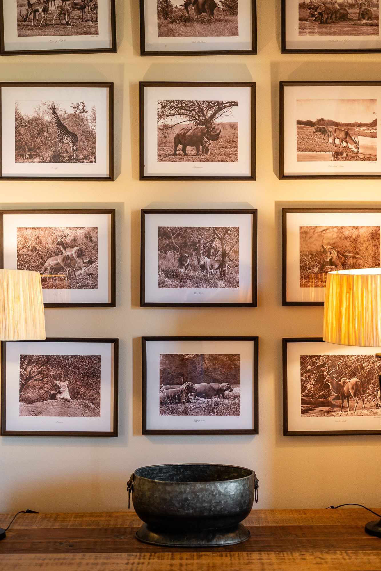 Safari animal photos in dark frames displayed on a beige wall above a wooden console table with a bronze bowl and two lamps.