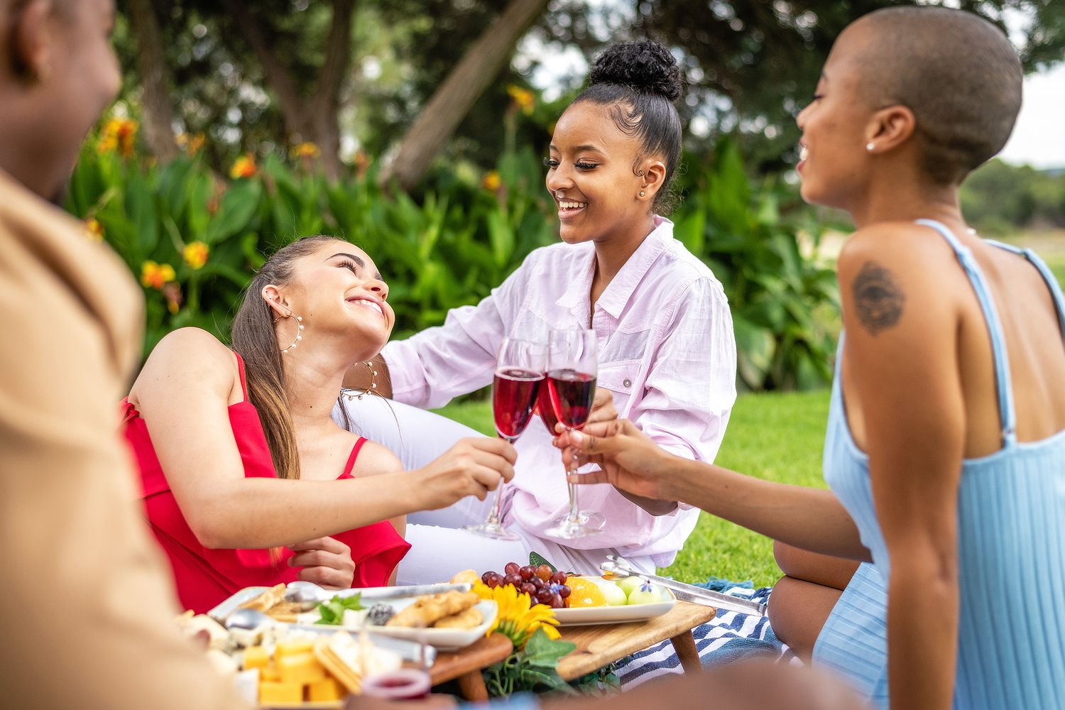 Friends toasting with red wine glasses at an outdoor picnic with a charcuterie board on a sunny day.
