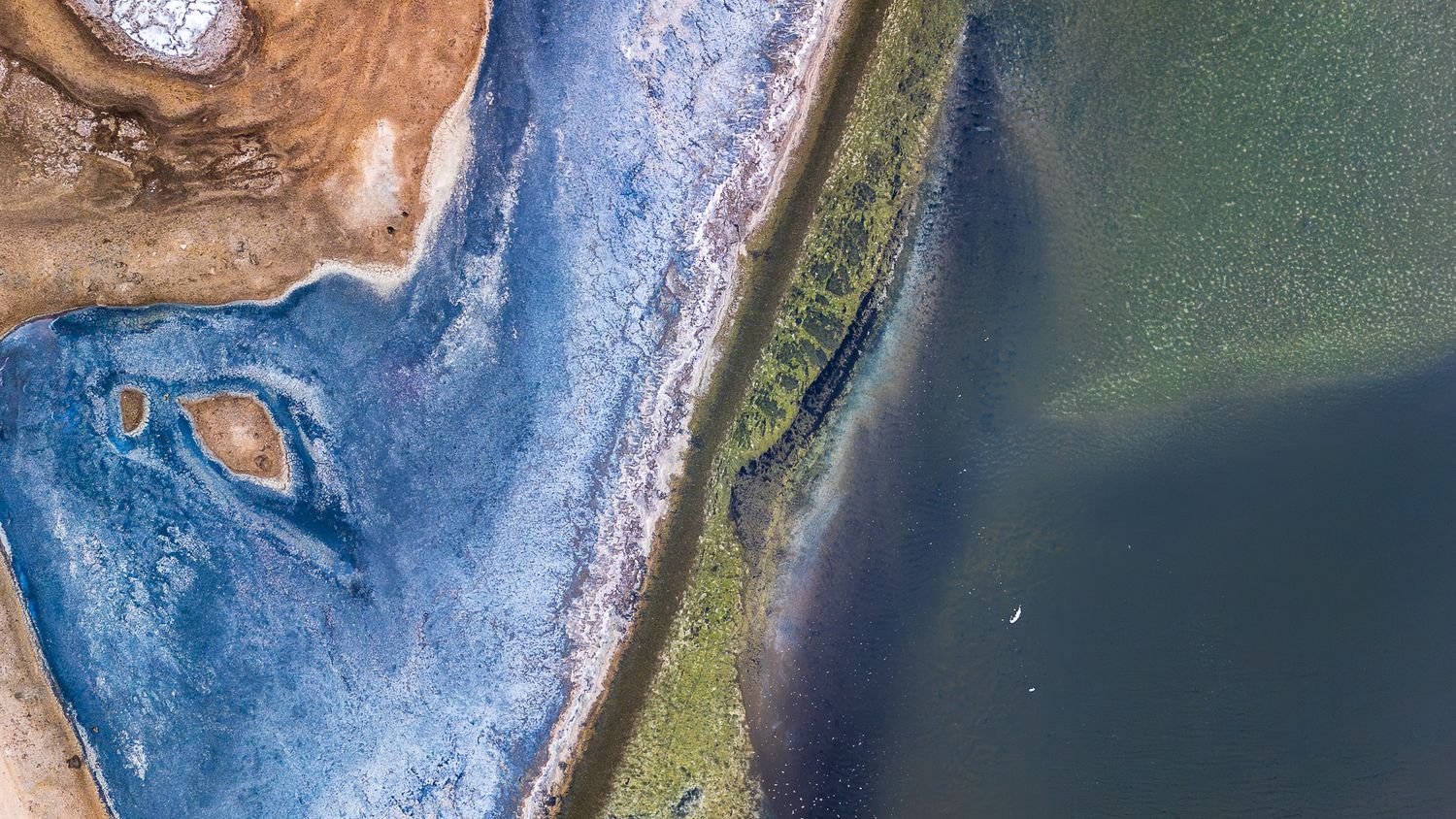 Aerial drone shot of vivid blue salt flats meeting green shoreline waters.