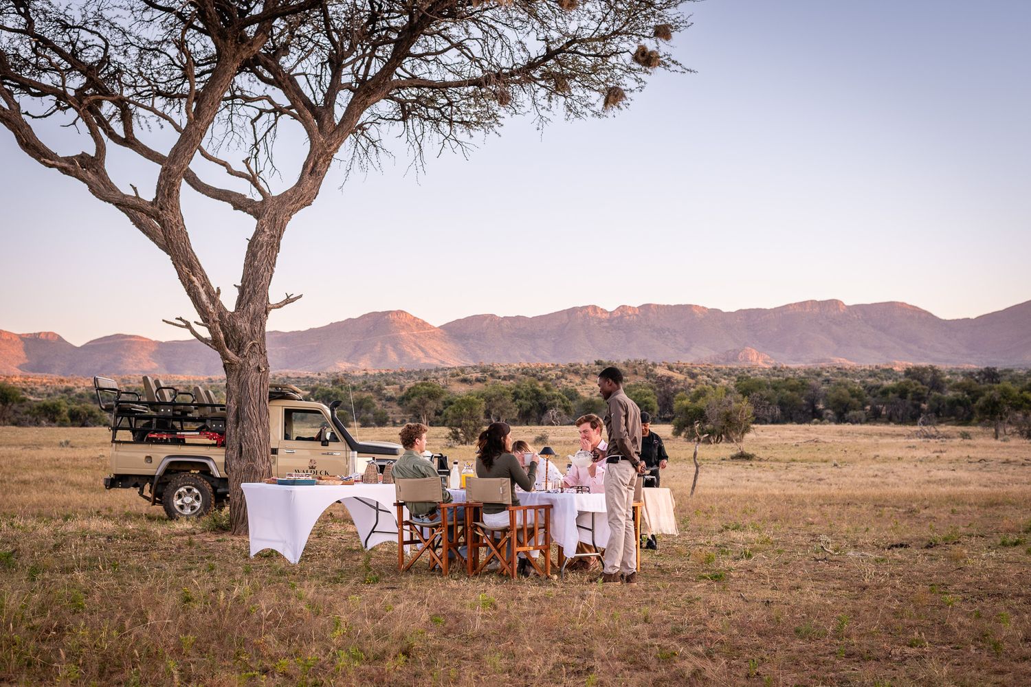 Outdoor bush dinner under acacia tree in African savanna with safari vehicle and mountain backdrop at sunset.
