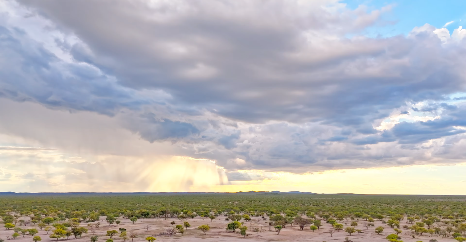 Aerial view of vast desert landscape with sparse vegetation under dramatic stormy sky with rain clouds at sunset.