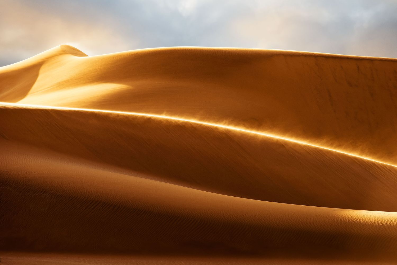 Golden sand dunes with smooth curves and sharp ridges illuminated by warm sunlight in a vast desert landscape.