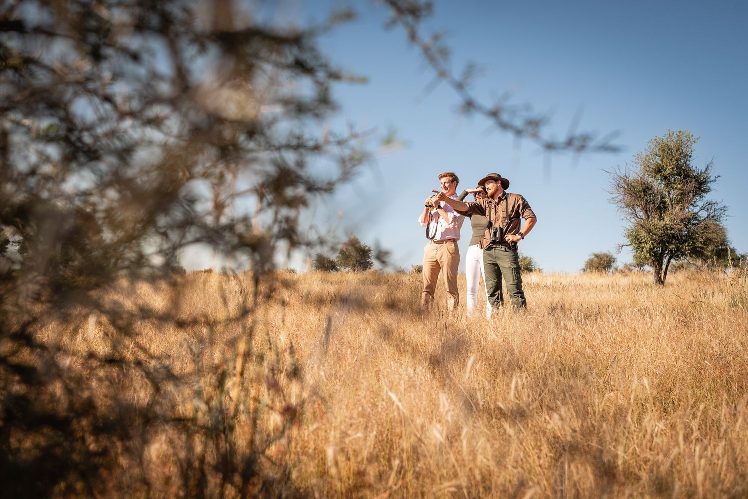 Two people standing in golden savanna grassland on a sunny safari, with sparse trees and blue sky in the background.