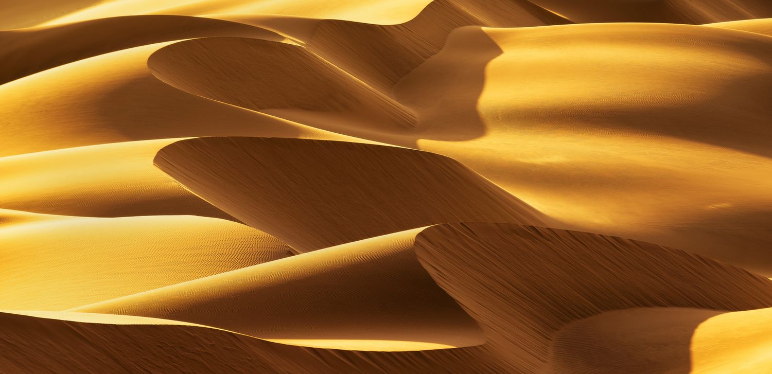 Golden sand dunes with smooth curves and shadows in a vast desert landscape, illuminated by warm sunlight.