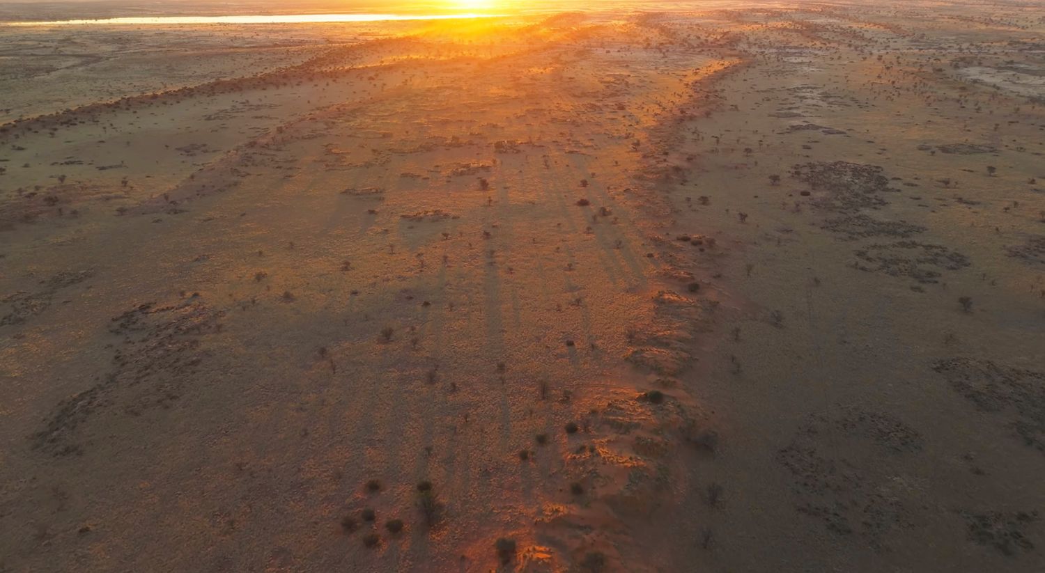 Aerial sunset view over vast arid desert landscape with sparse vegetation and a dusty trail stretching to the horizon.