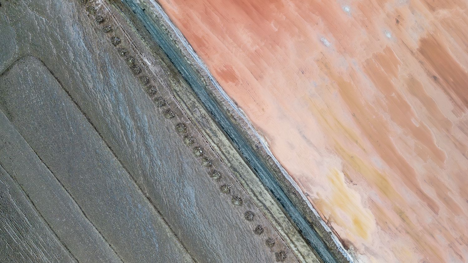 Aerial view of agricultural fields showing contrasting textures of green crops and reddish-brown soil divided by a curved boundary.