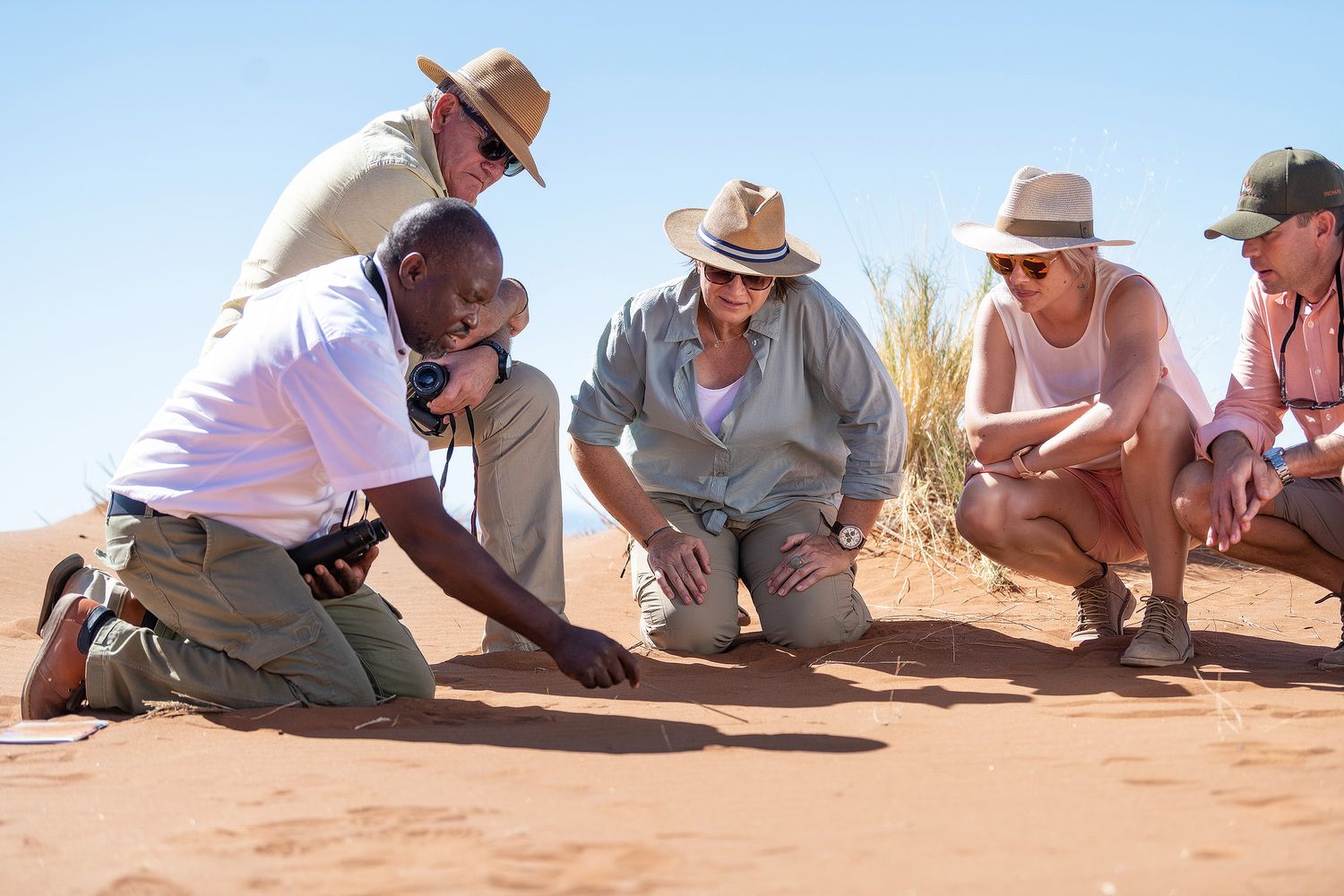 Group of tourists examining desert sand with a local guide in the Namib Desert on a sunny day.