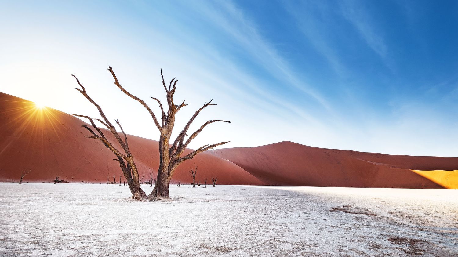 Dead tree stands against red sand dunes and sunburst sky in Deadvlei, Namibia's iconic desert landscape.