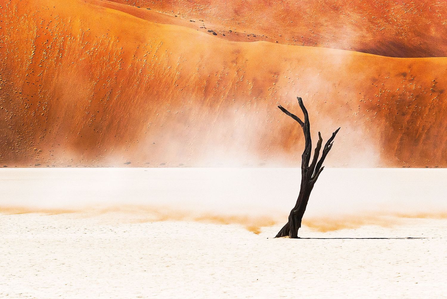 Dead tree stands alone in Deadvlei, Namibia, surrounded by white clay pan and towering orange sand dunes.