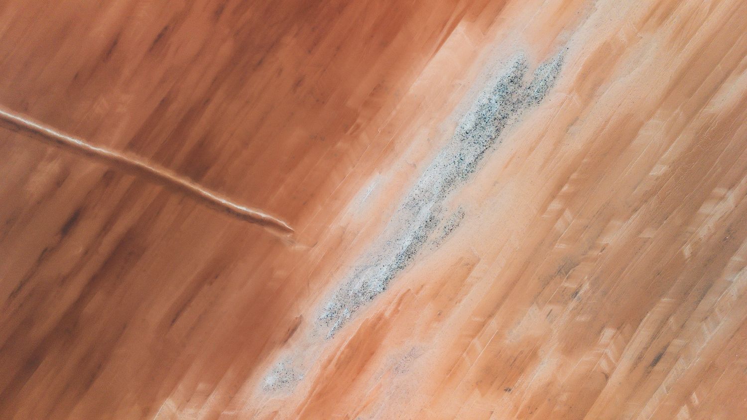 Close-up of gray mold growth on worn wooden floor surface.