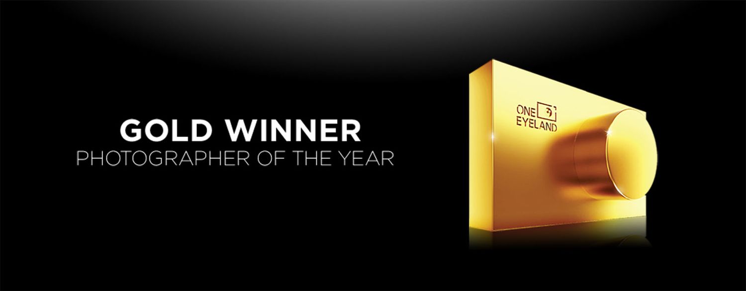 Gold Winner Photographer of the Year award trophy on dark background with elegant golden text.