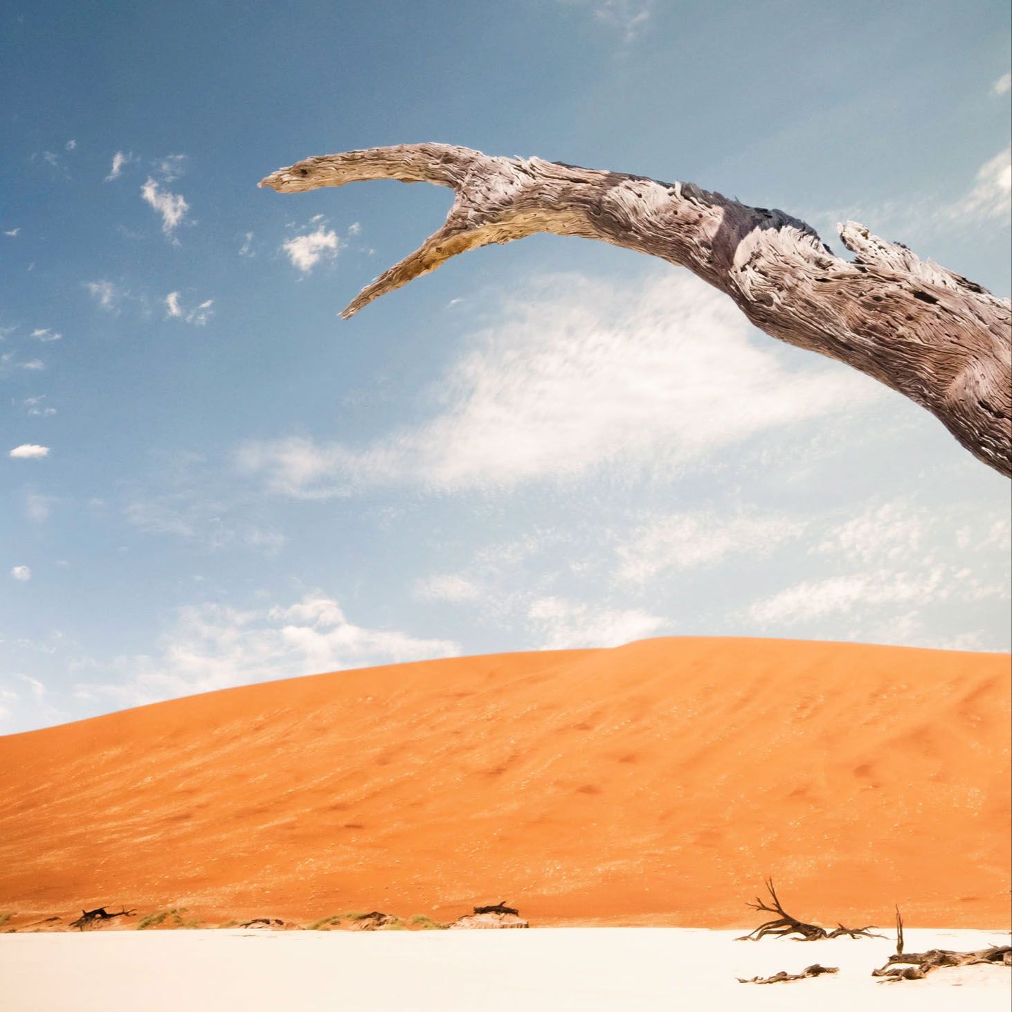 A gnarled dead tree branch curves over white salt flats against a vivid orange sand dune and blue sky.