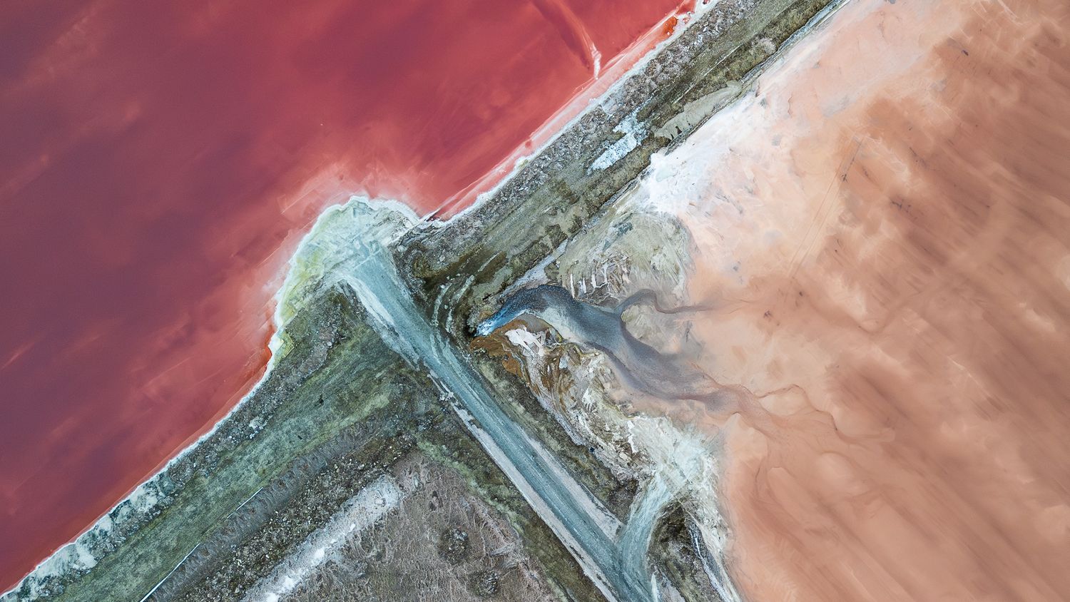 Aerial view of a vibrant pink salt lake meeting sandy shores, divided by a winding road and green vegetation.