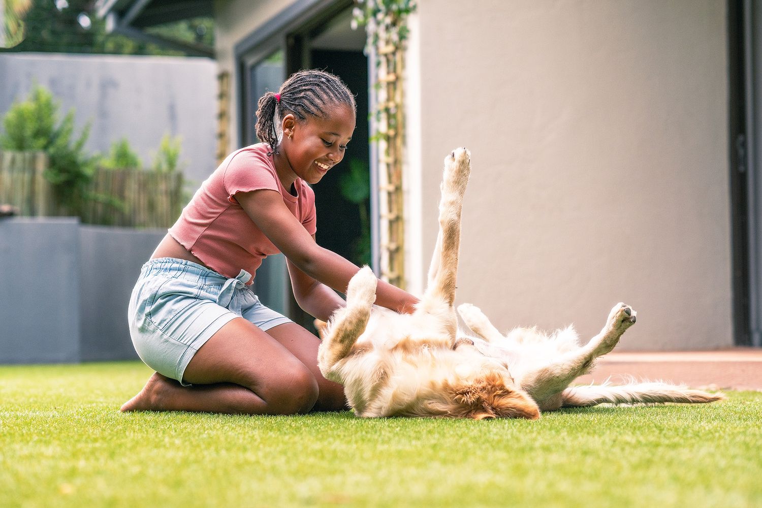 A young Black girl plays with a golden retriever dog rolling on green grass in a sunny backyard.