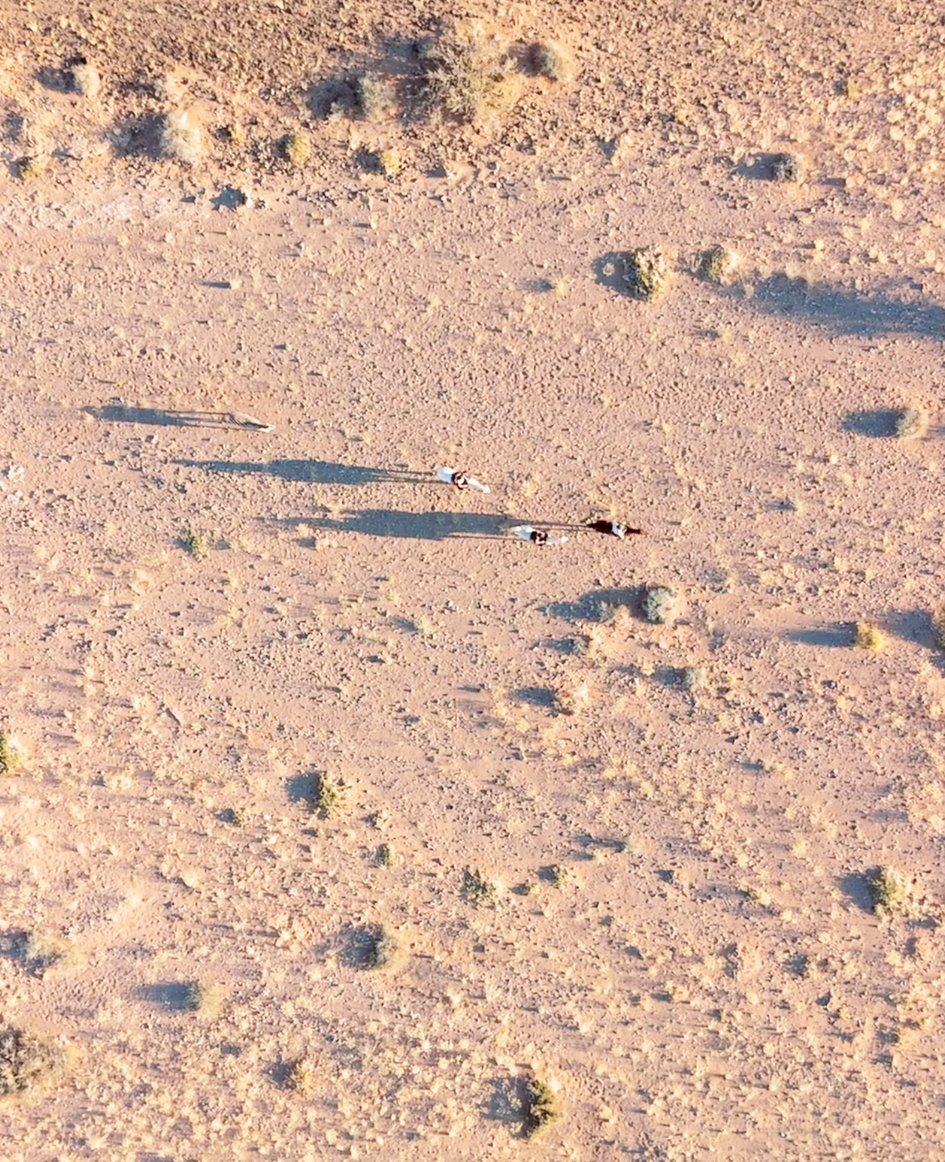 Aerial view of a vast arid desert landscape with sparse vegetation and long shadows on sandy terrain.