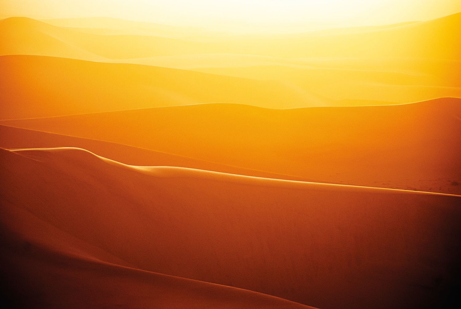 Golden desert sand dunes bathed in warm orange sunset light, creating layered silhouettes across a vast arid landscape.