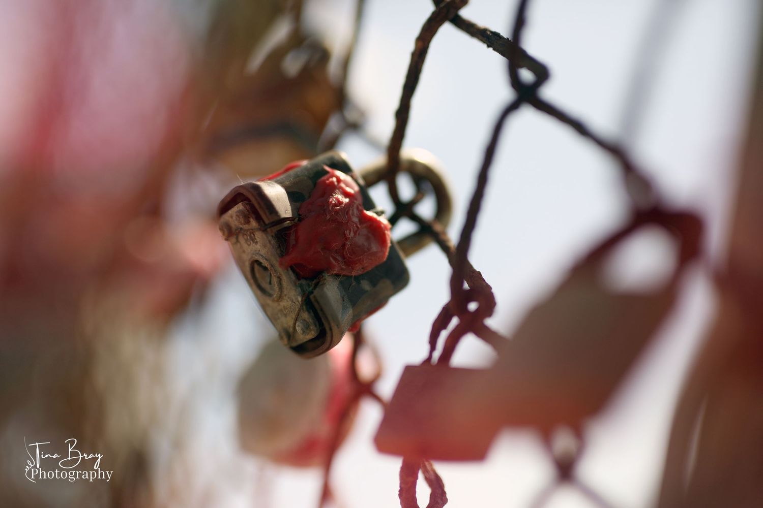 Close-up of a red padlock on a chain-link fence, symbolizing love and commitment.