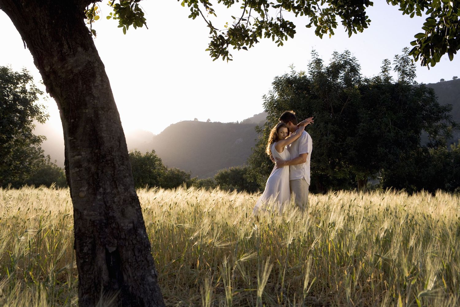 Couple embraces in a golden wheat field at sunset beside a large tree.