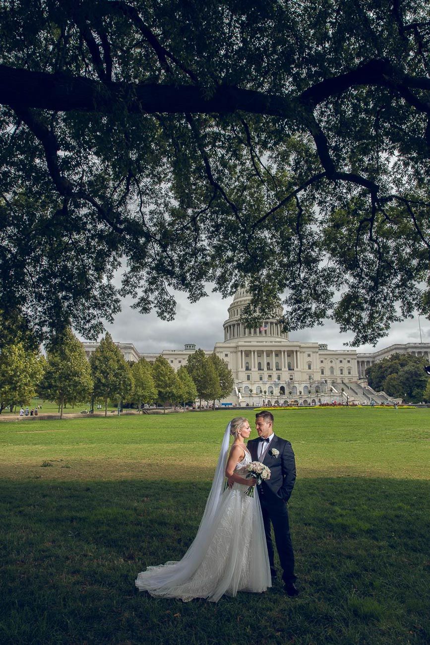 Newlyweds share a romantic moment under a sprawling tree with the US Capitol in view.