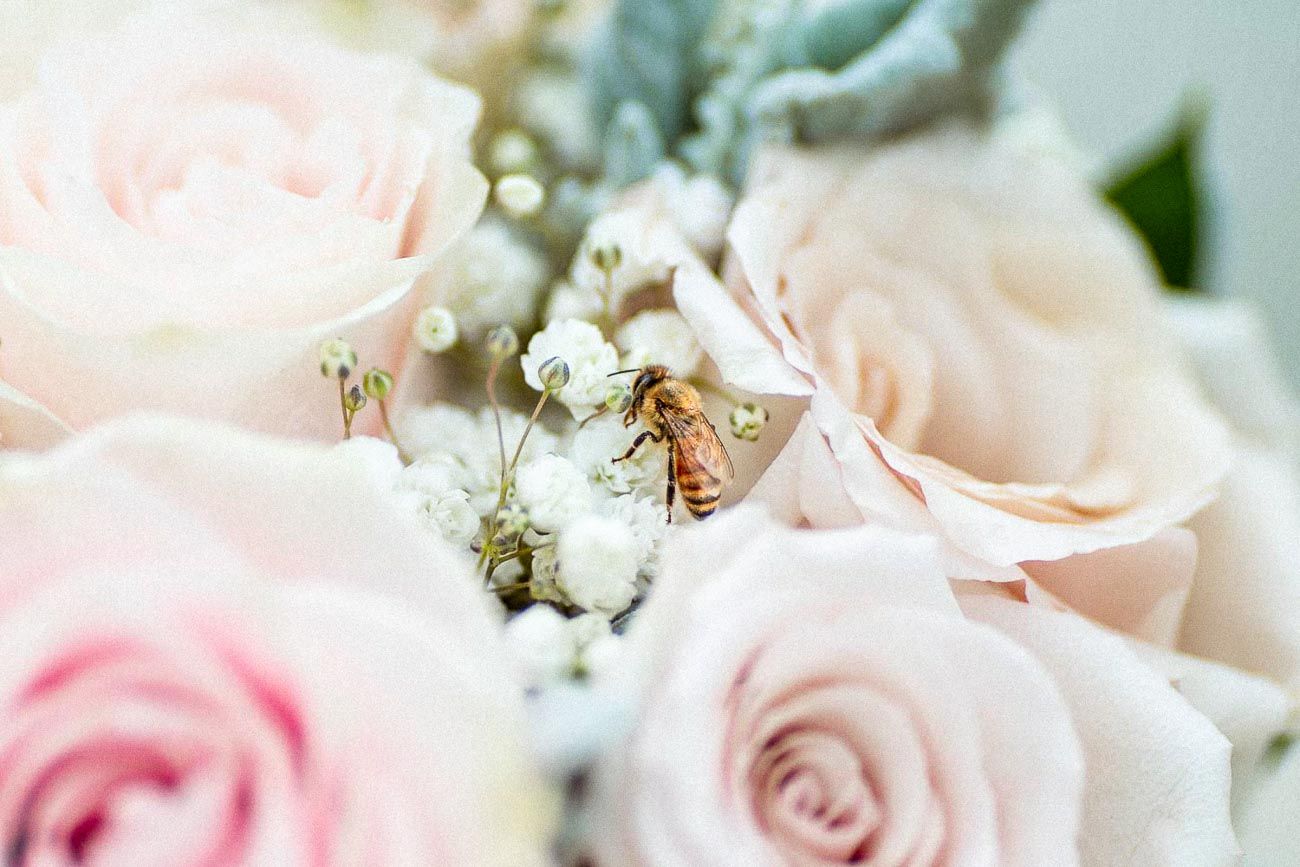 Close-up of a bridal bouquet featuring soft pink roses with a honeybee resting on delicate white flowers.