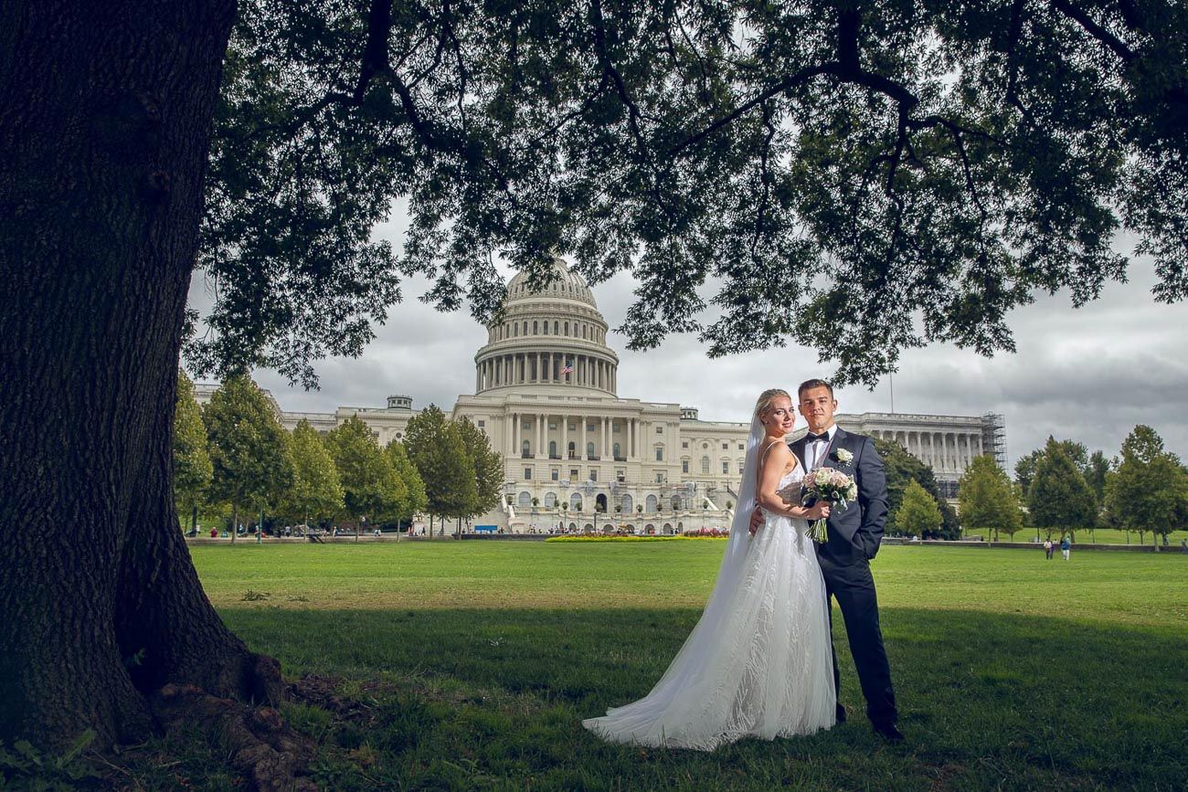 Wedding couple embracing under a large oak tree with the US Capitol building backdrop.