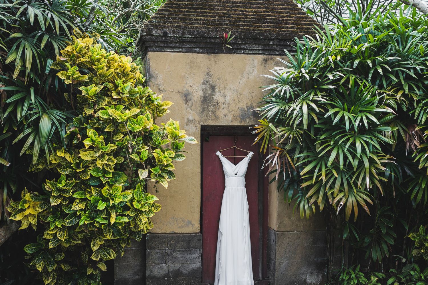 White wedding dress hanging on a red door surrounded by lush tropical greenery and aged yellow walls.
