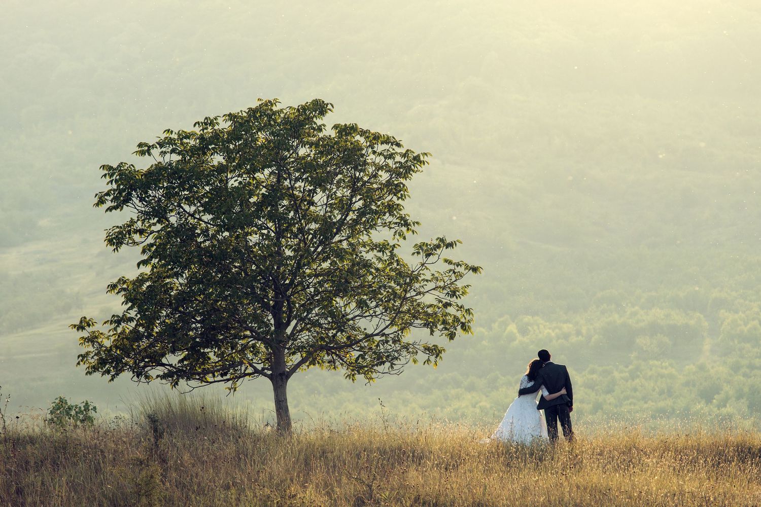 Romantic couple in wedding attire standing beside a lone tree on a sunlit golden hillside.