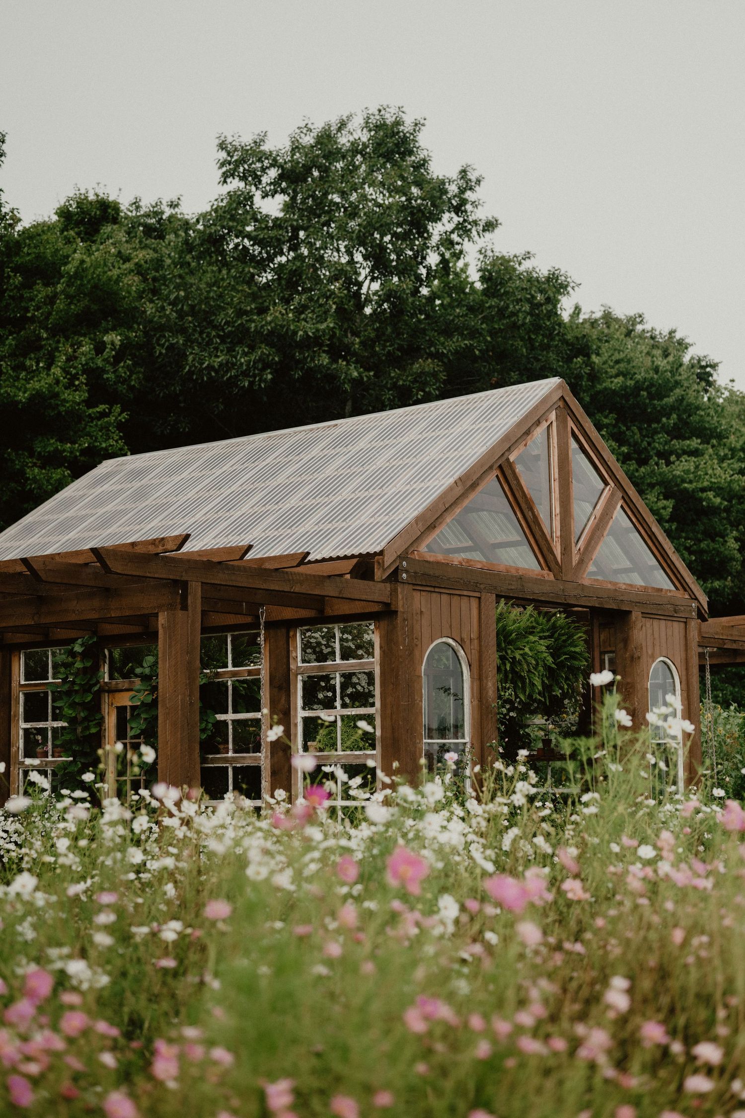 A rustic greenhouse with wooden beams sits among wildflowers and cosmos blooms in a serene garden setting.