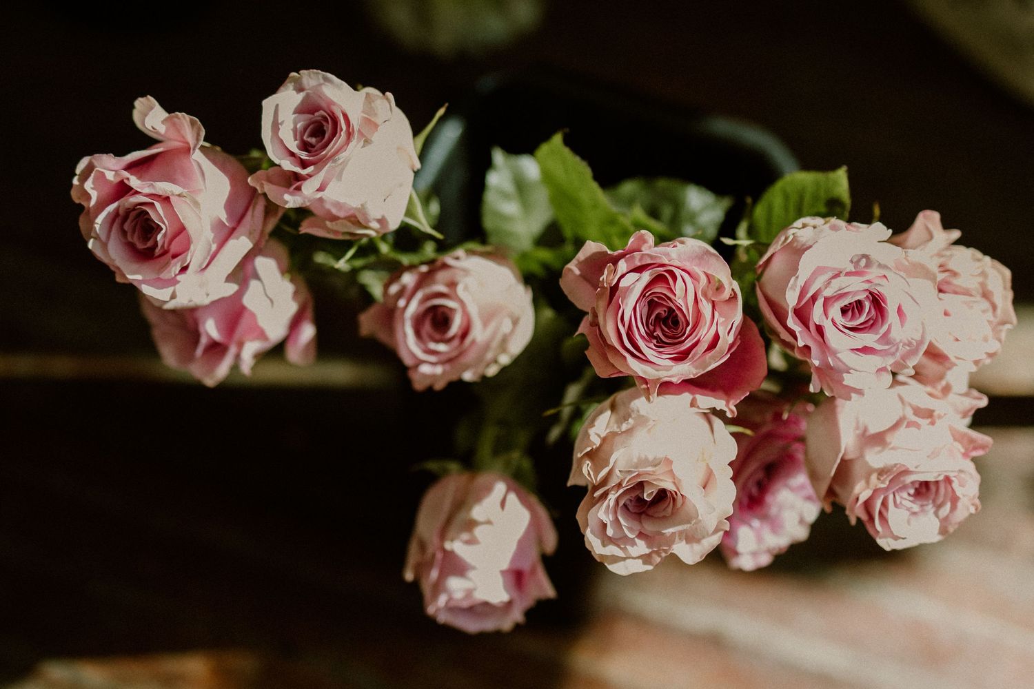 Close-up of delicate pink roses with vintage tones and soft petals.