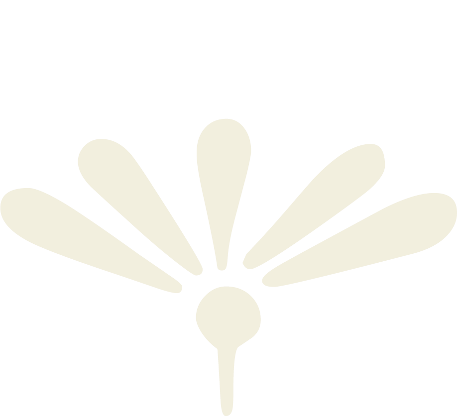 A minimalist floral design featuring cream-colored petals arranged in a fan shape.